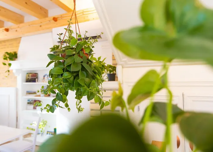 Bed & Breakfast Corte Lusenzo 4*